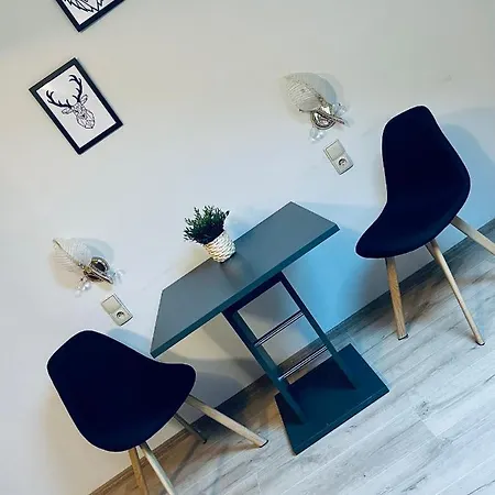Otel Skalny Dworek *